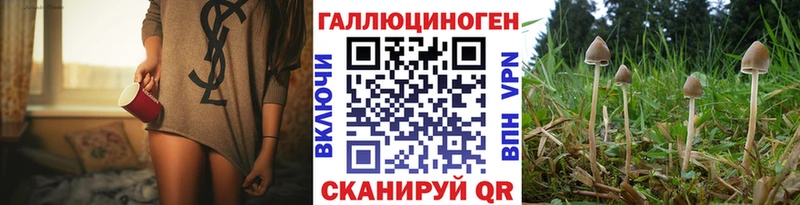 Галлюциногенные грибы мицелий Торжок