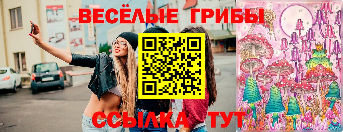 Псилоцибиновые грибы Magic Shrooms Торжок