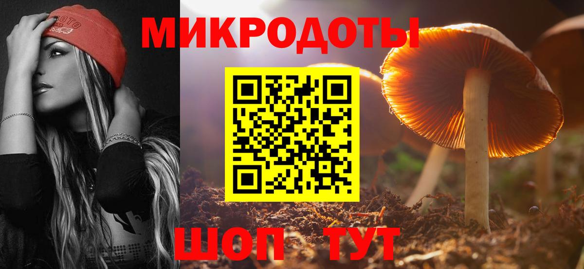 Галлюциногенные грибы мицелий  Псилоцибиновые грибы прущие грибы  Вход с VPN  Торжок 